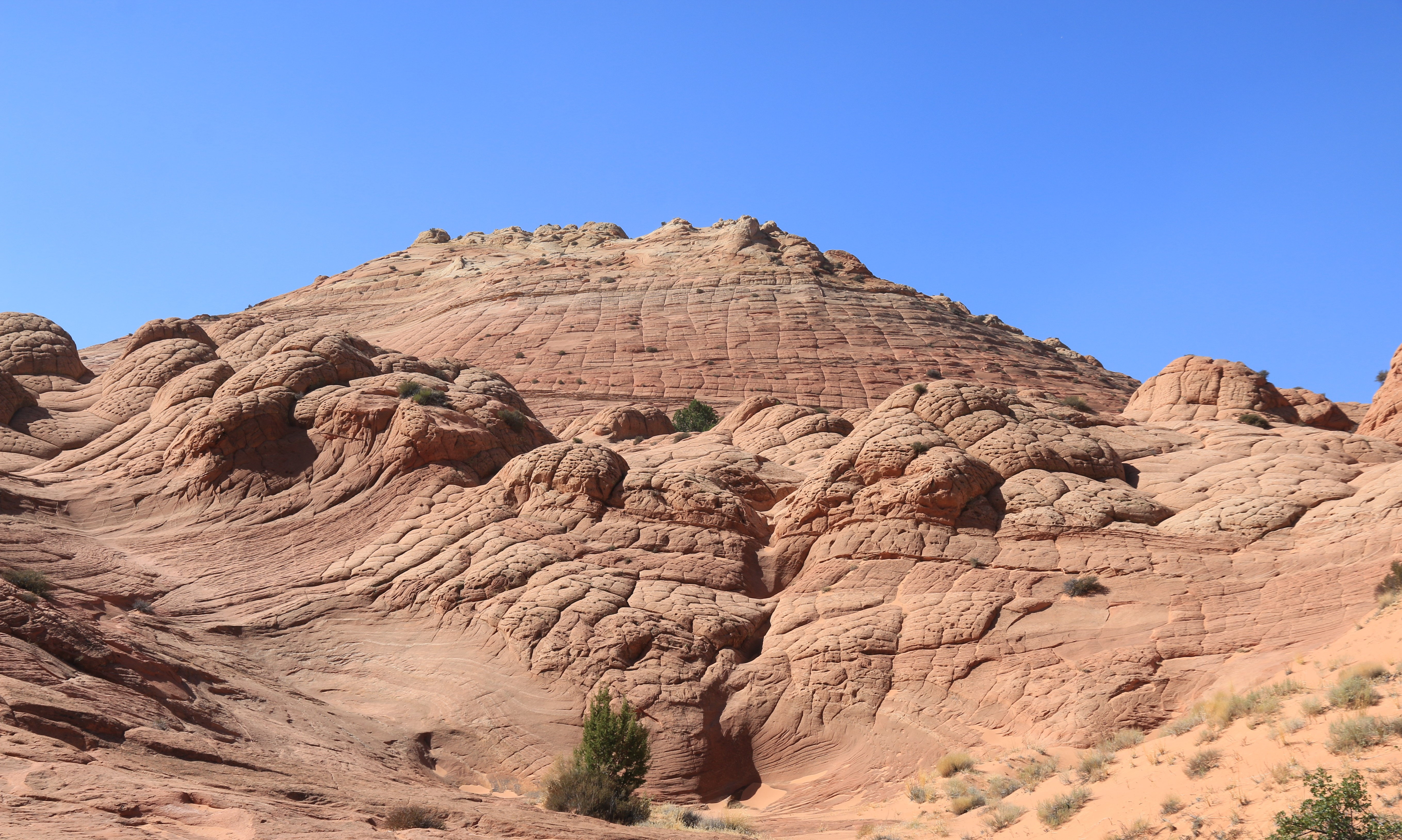 Vermillion Cliffs NM